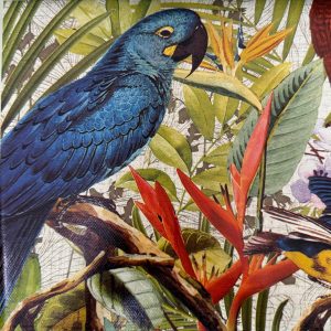 36328 - Tropical